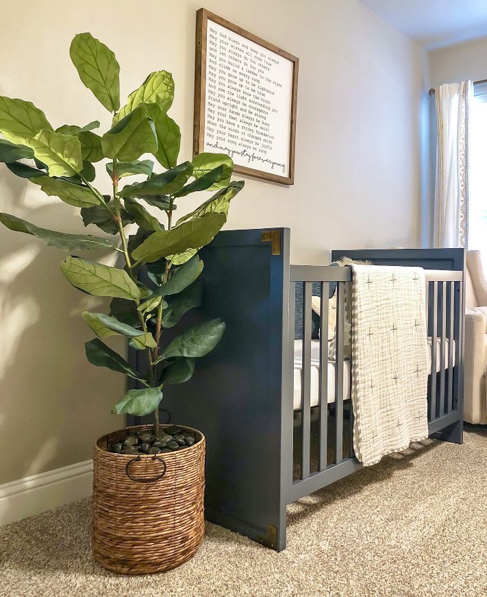 Photo of a large plant in a basket next to a crib in a Betenbough home nursery.