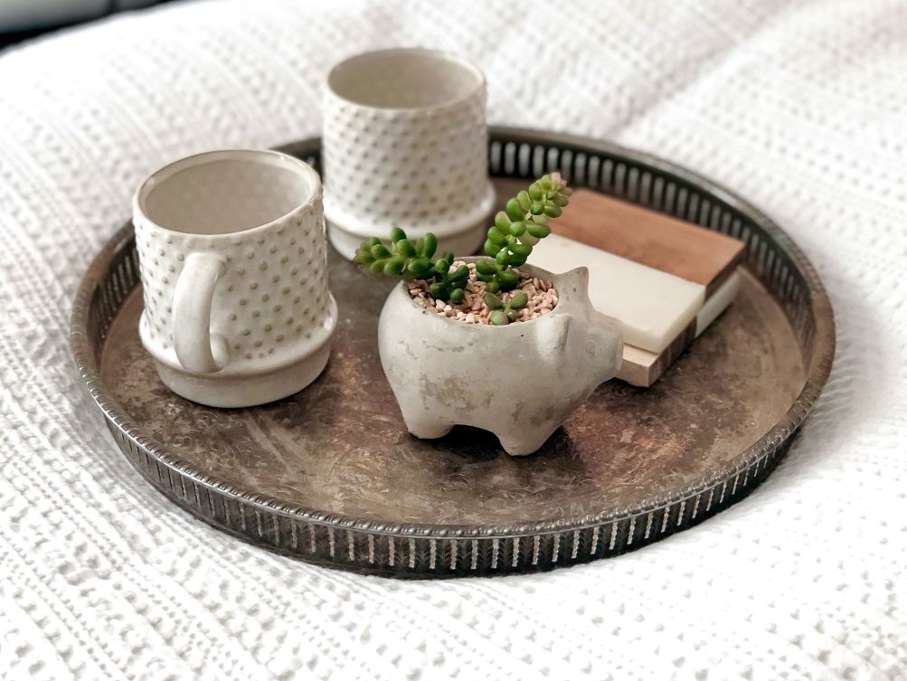 Photo of a small succulent in a miniature pig-shaped pot arranged with coasters and coffee cups on a tray as an example of how to decorate with plants.