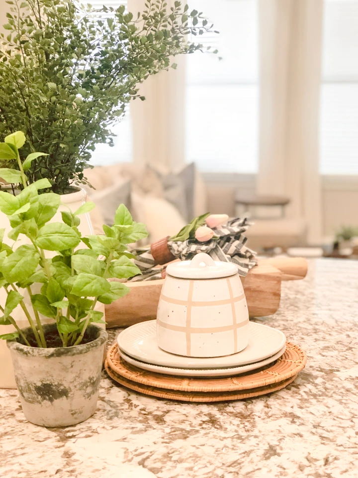 Photo of a plant, a candy dish, and a wooden bowl of cloth napkins on a granite surface. A couch, table, and windows are visible in the background.